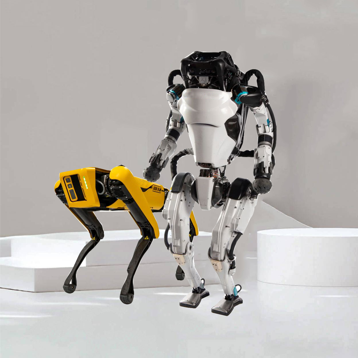 具身智能机器人